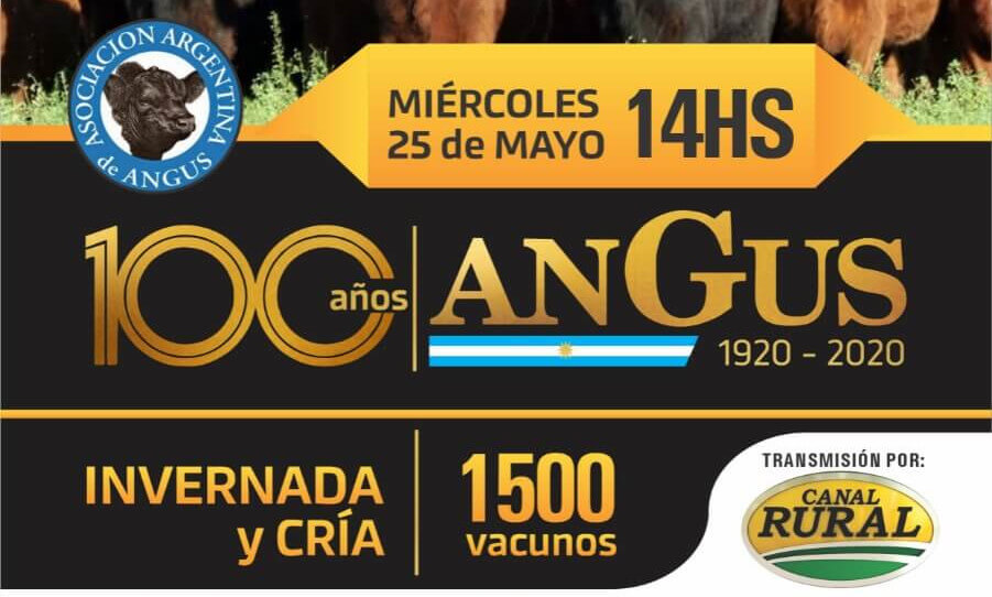 100 Años Angus