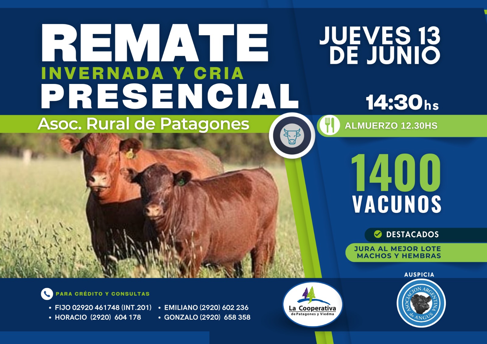 Remate presencial 13 de Junio