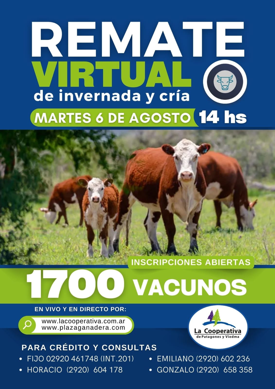 Remate Virtual