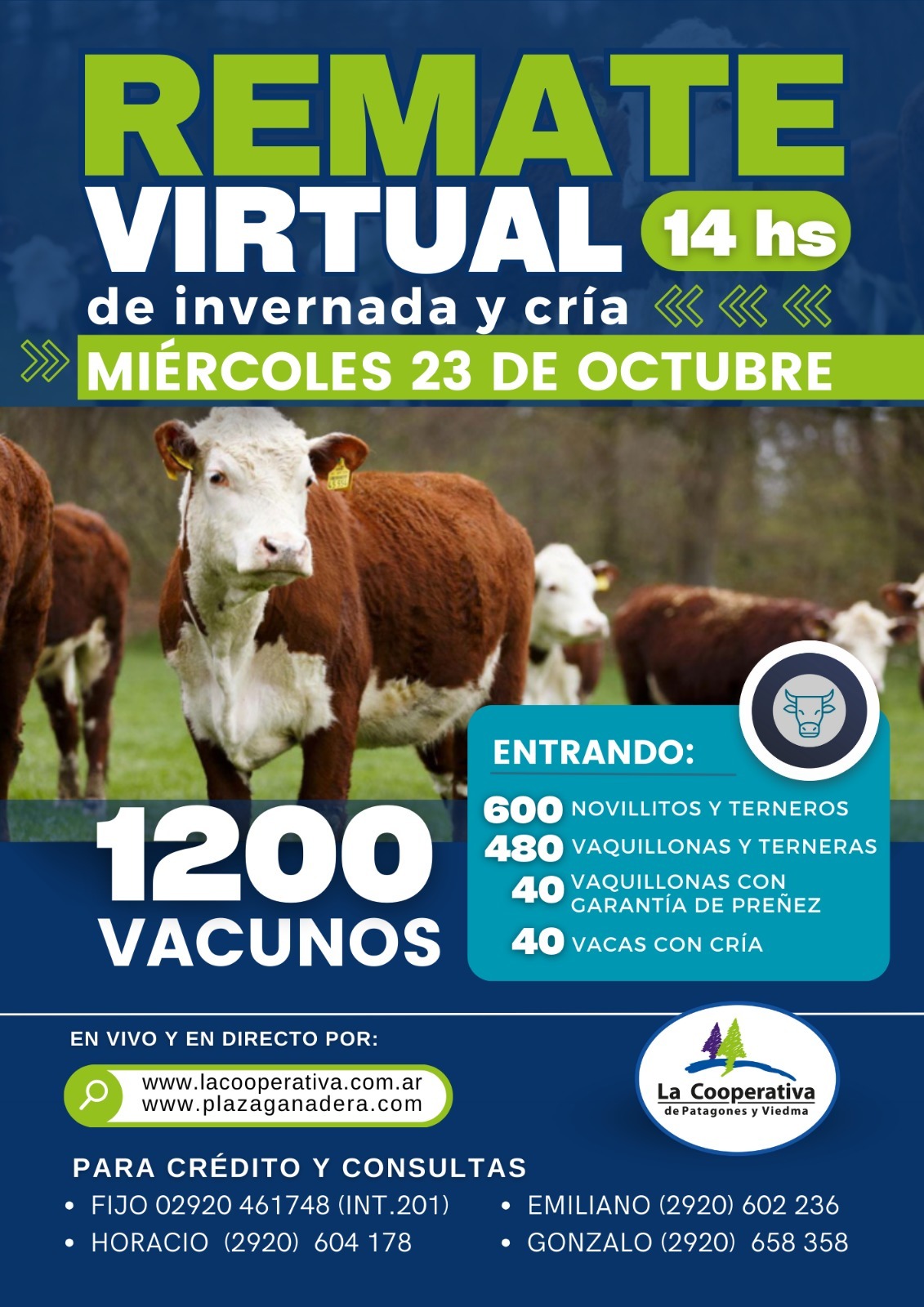 Remate Virtual 23 de Octubre