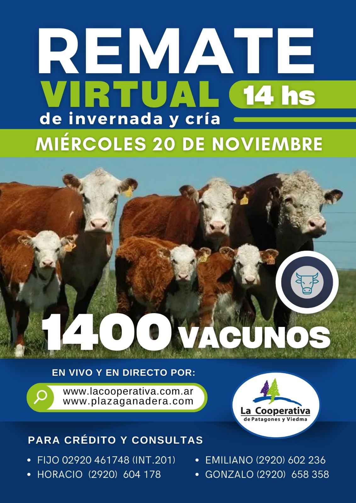 Remate Virtual 20 de noviembre