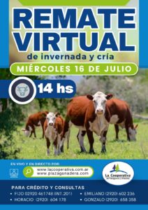 Remate Virtual 16 de julio 2025 – 14:00hs