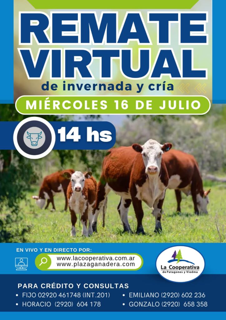 Remate Presencial miércoles 06 de agosto