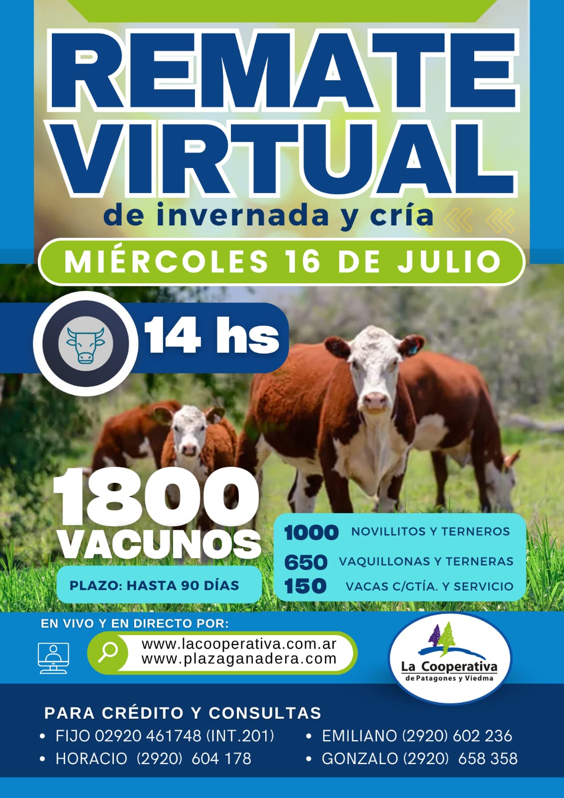 Remate virtual 16-07-2025