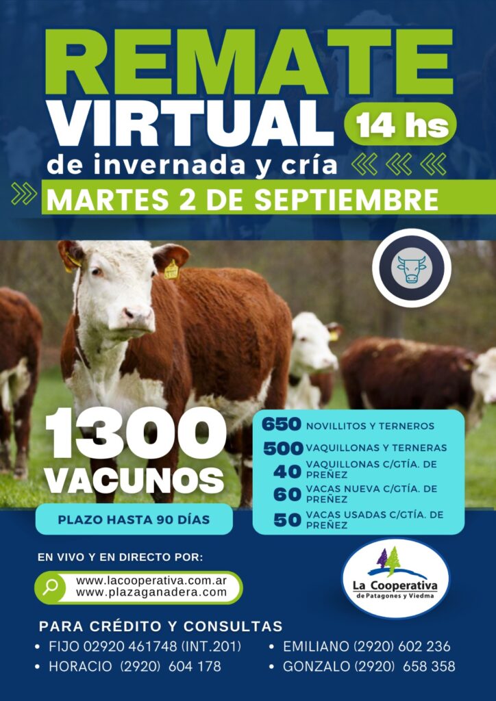 Remate Virtual 02 de septiembre 2025 – 14:00hs