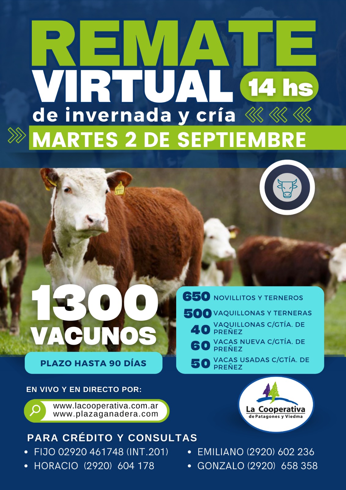 Remate Virtual de invernada y cria 2 de septiembre