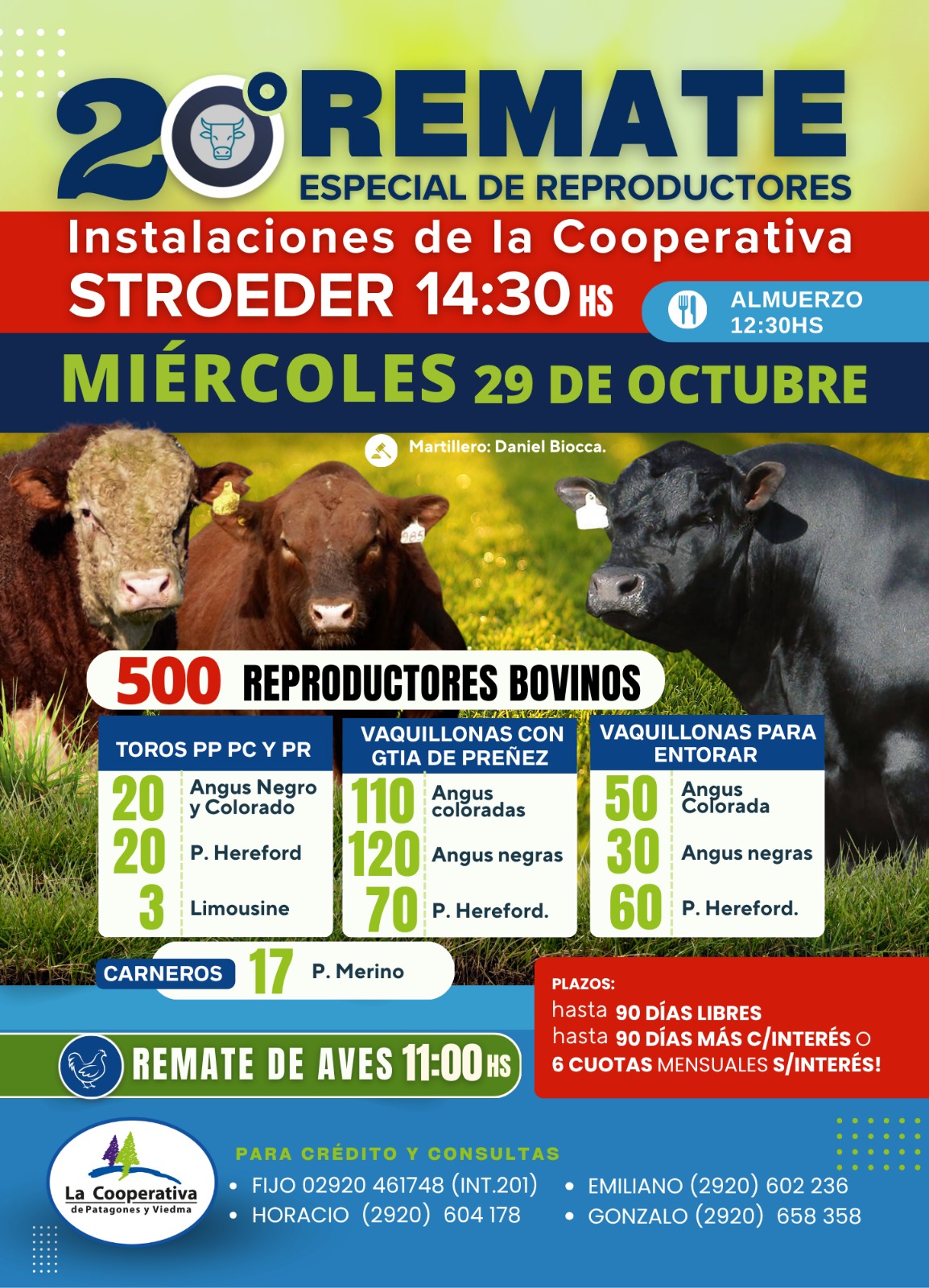 20 Remate especial de Reproductores