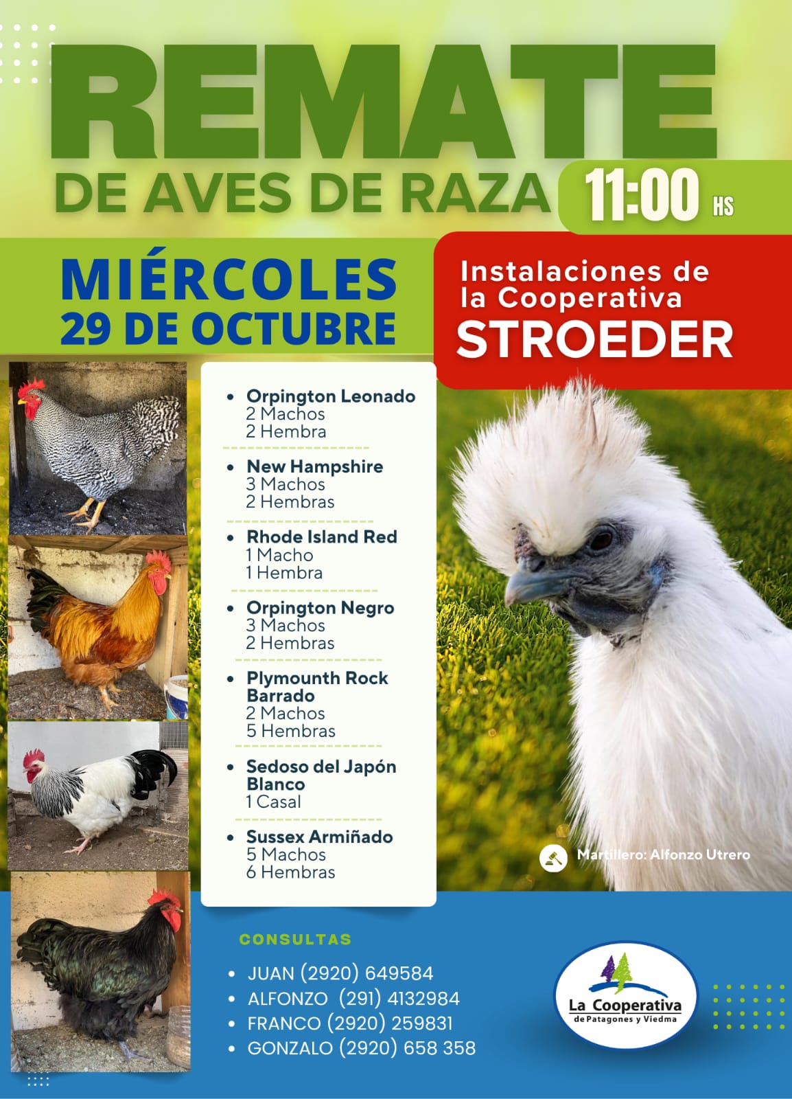 Remates de Aves de Raza