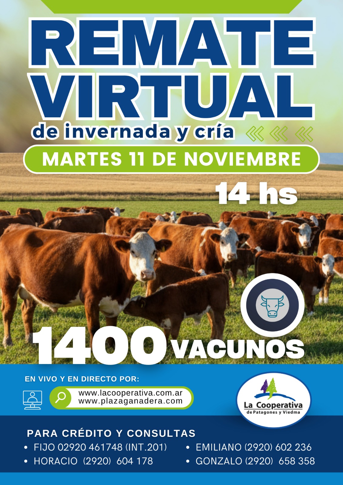 Remate Virtual 11 de Noviembre