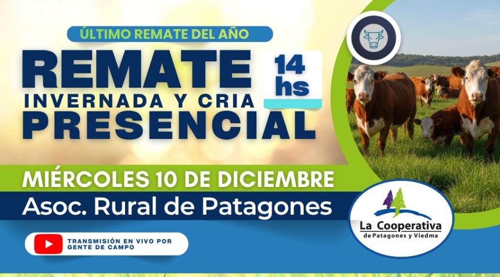 Ultimo remate del año