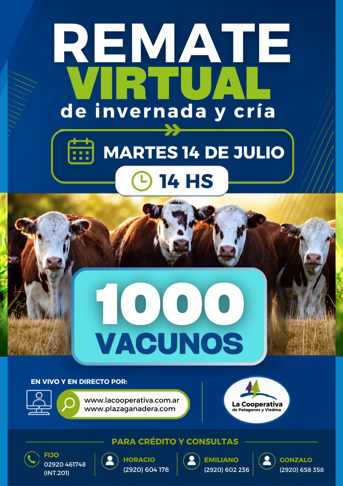 Remate Virtual 14 de Julio