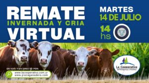 Remate Virtual 14 de julio