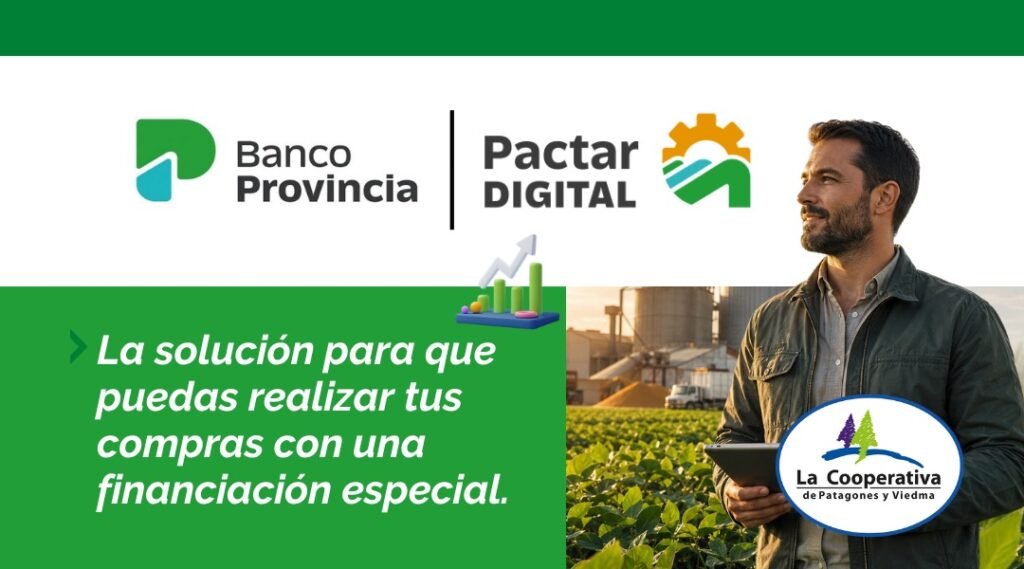 Pactar Digital – Banco Provincia